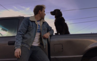 No Rest for the Wild: A Look Back at 2017