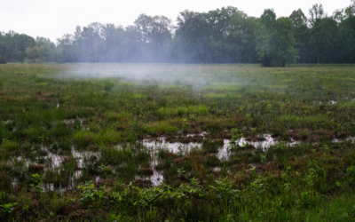 Community: Ben Fatherree, Mickey Roth and the Friends of Raymond