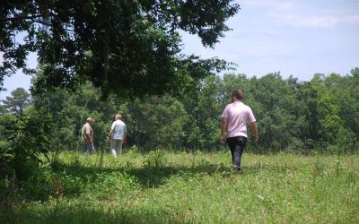 12 Westerns: Filmmaker Diary – June 2019