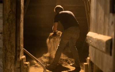 12 Westerns: Filmmaker Diary – September 2019