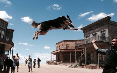 MOVIE MONDAY: Western Movie Reviews – Week Seventy Seven – In a Valley of Violence